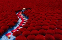 agora names four vietnamese photos top 50 stunning nature shots