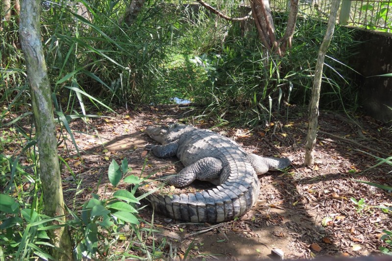 exploring u minh thuong national park