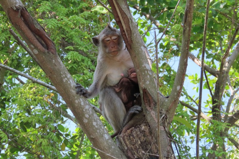exploring u minh thuong national park