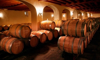Tons of unsold French wine to be turned into hand-sanitizer tons of unsold french wine to be turned into hand sanitizer