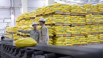 agricultural exports urged to meet eu standards expert remarked