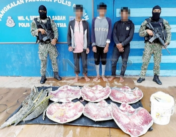 wwf malaysia welcomes tougher sentencing applied for wildlife crimes