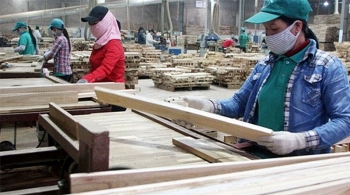 hope first online exhibition platform for wood and furniture industry in vietnam admid the pandamic