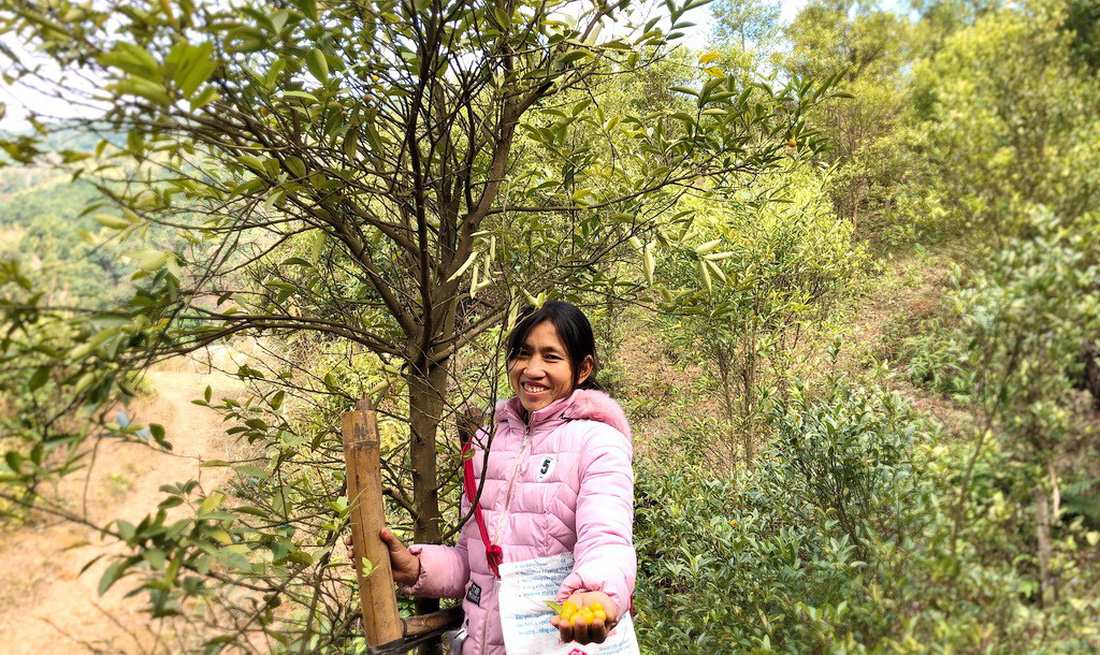 Life at Vietnam’s coldest inhabited place