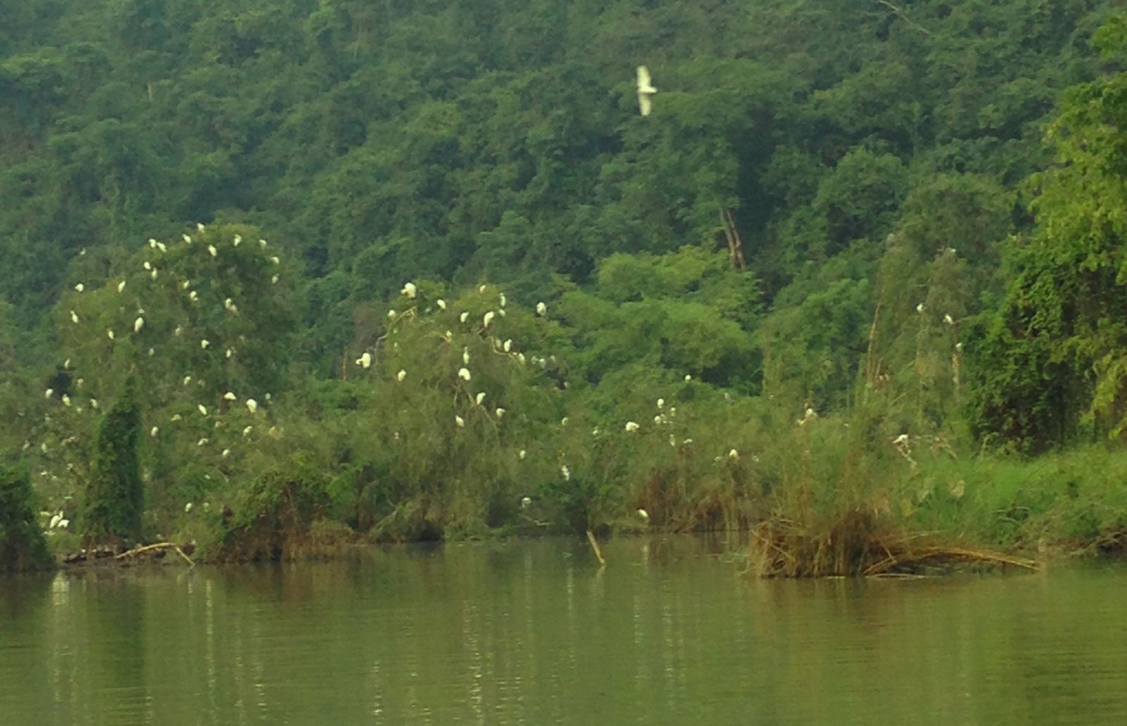 Meditation getaway in Thung Nham (Ninh Binh)