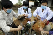 mard minister urges early detection of avian influenza outbreaks