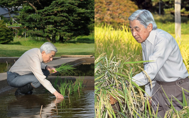 Their Majesties Emperor, Empress of Japan