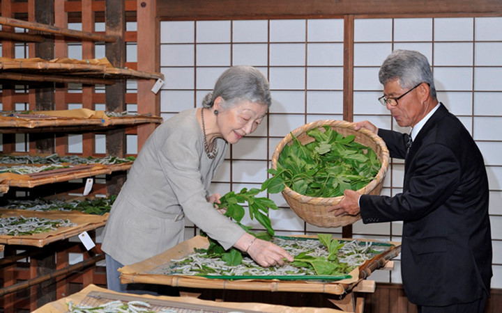 Their Majesties Emperor, Empress of Japan