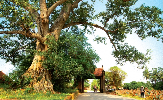 Japanese architect makes model of Vietnamese village gate