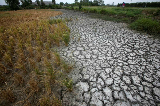 Vietnam forecast to see more drought, strong typhoons in 2017 due to El Nino