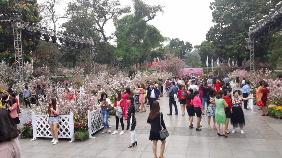 cultural exchange festival marks 45th founding anniversary of vietnam japan diplomatic relations