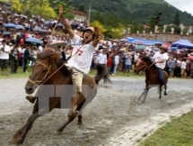 Horse race as highlight of cultural week in Lao Cai