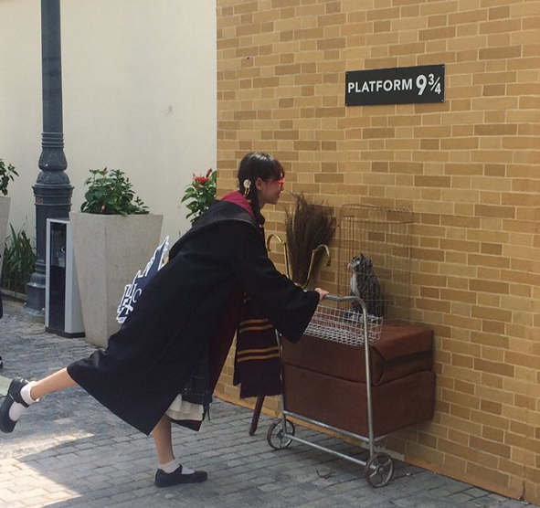20th year of Harry Potter in Vietnam markes in Vietnam