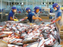 additional catfish companies permitted to export to us