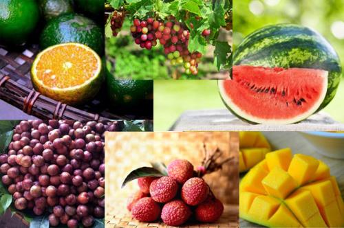vietnamese fruits conquer japanese market