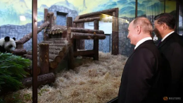 china gives russia 2 pandas sign of deepening trust and respect