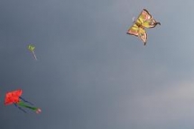 hue festival 2020 to be re scheduled due to covid 19