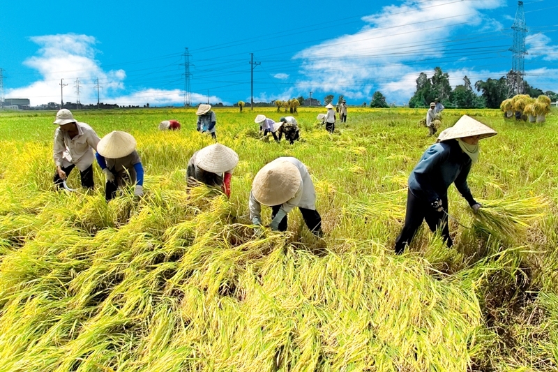 vietnam japan boost links in agriculture technology