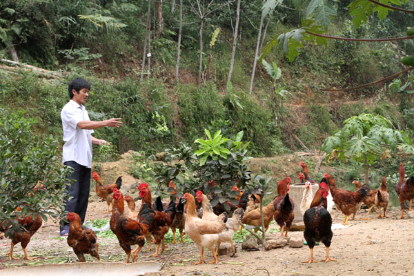 government gives loans to expand poverty reduction