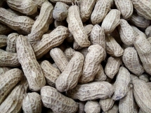 Vietnam freezes peanut import from Senegal