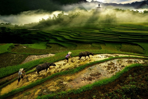 Vietnam Heritage Photo Awards 2017 opens for entries