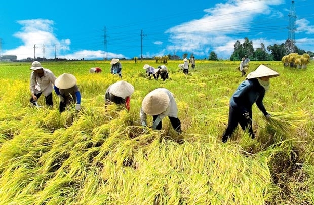 expanding export markets for agricultural products