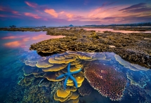 agora names four vietnamese photos top 50 stunning nature shots