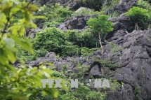 illegal walkway at trang an heritage site removed