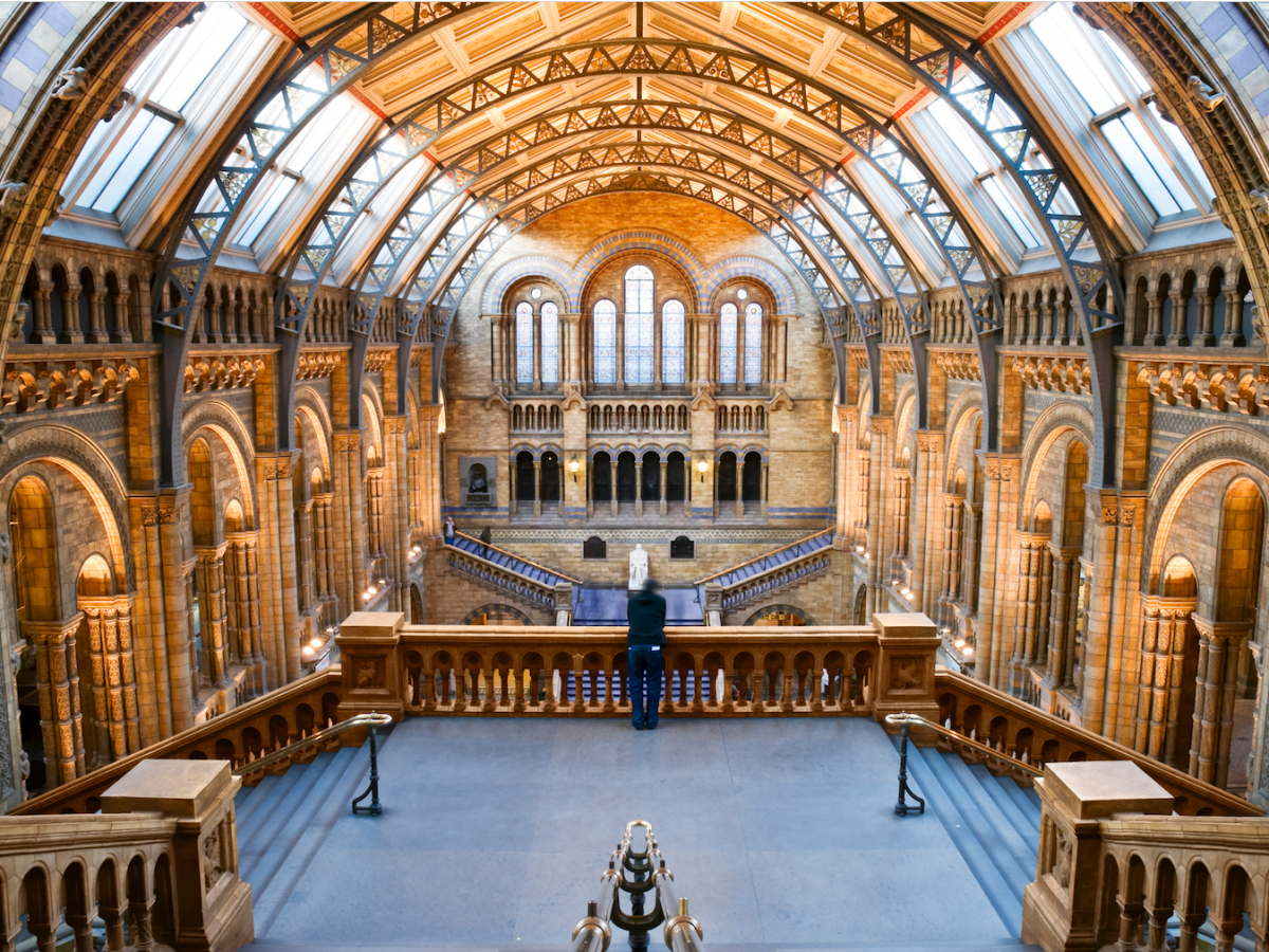 The 36 most beautiful museums in the world