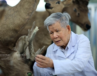 first vietnamese recognised as asean biodiversity hero