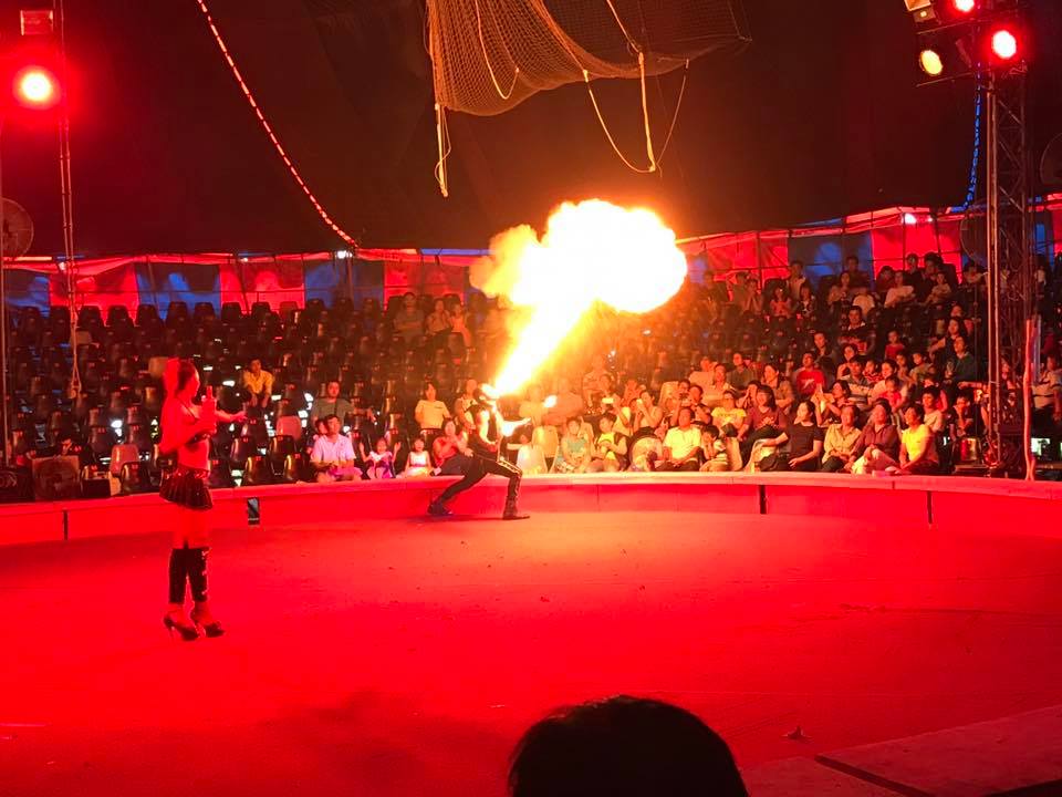 japans circus to perform in hanoi next month