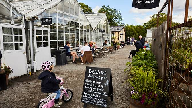 Where to go and what to see in 36 hours in Stockholm