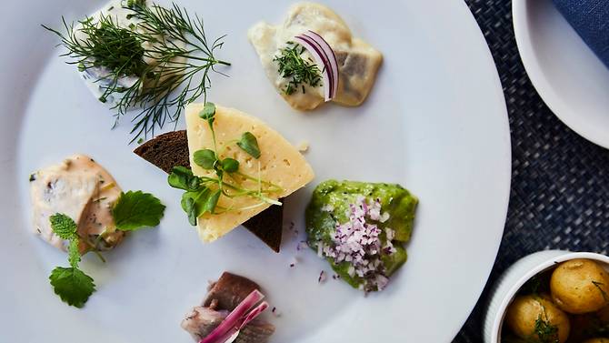 Where to go and what to see in 36 hours in Stockholm