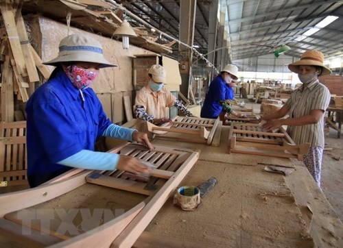 Vietnam exports timber products to 120 countries, territories
