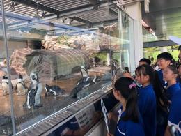 memorable friendship trip to japan of 12 vietnamese students