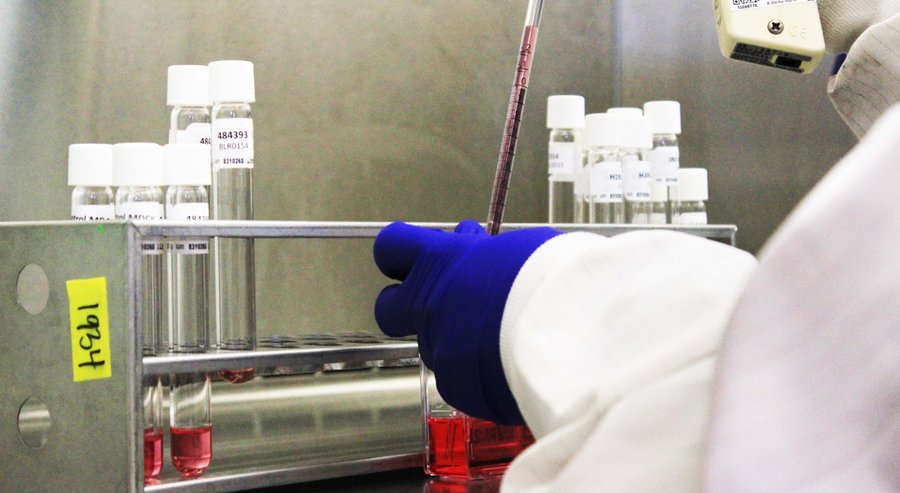 Vietnam on alert as Zika virus threatens from neighbors