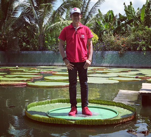 Giant lotus leaves in Dong Thap’s Phuoc Kien pagoda