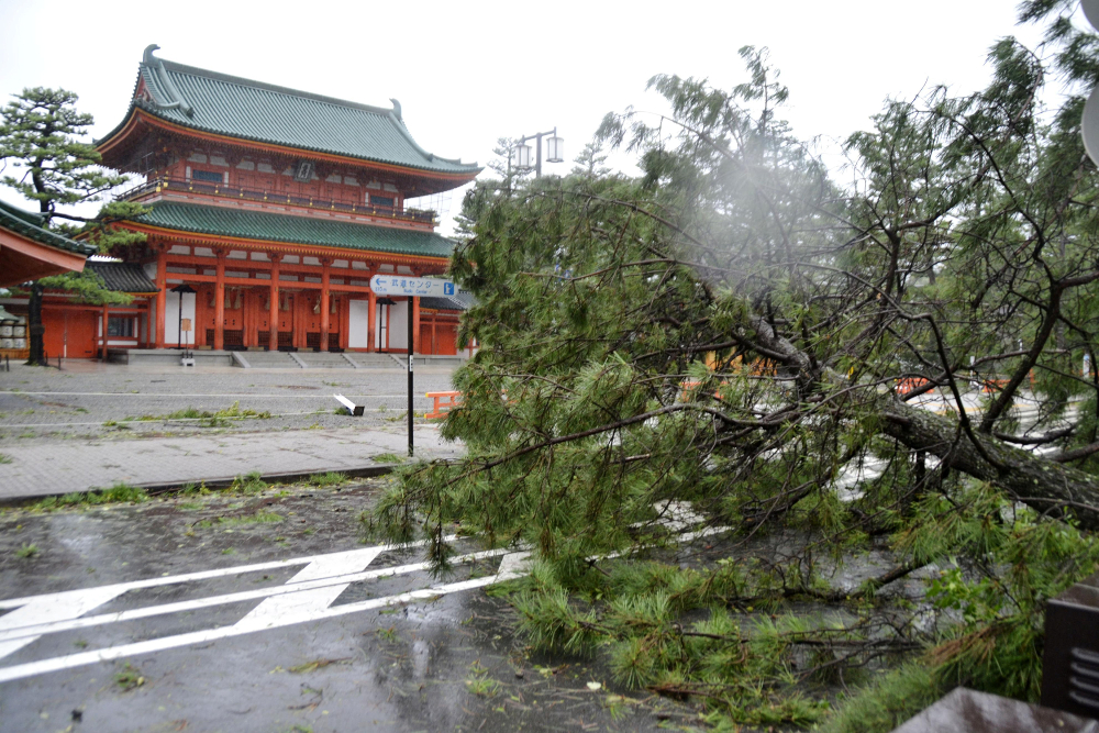 at least 6 dead as strongest typhoon in quarter century batters japan