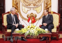 Deputy PM Truong Hoa Binh hosts Singaporean counterpart in Hanoi