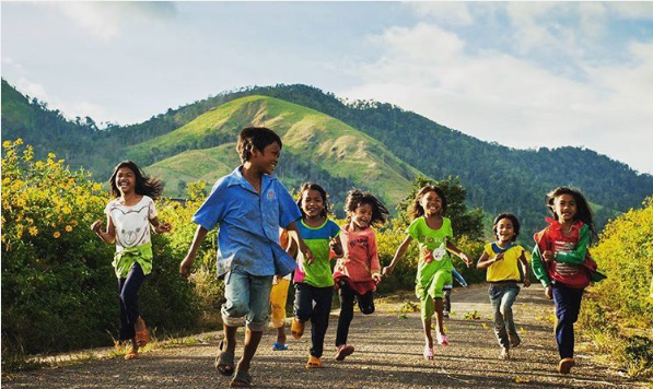 Wild sunflower season in Dalat
