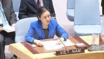 Ambassador highlights Vietnam’s stand in disarmament, nuclear non-proliferation