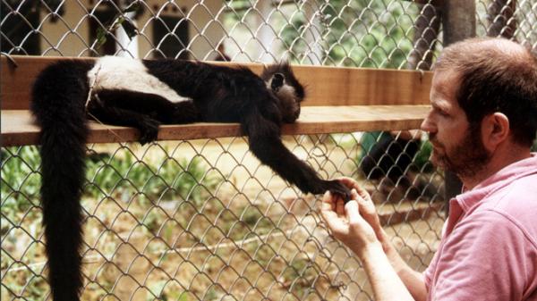 The savior of Vietnamese langurs