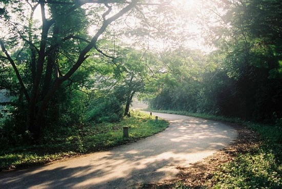 The national park offers a great escape from the city with cool fresh mountain air in a mystical atmospheric backdrop of clouds, jungle and tropical rainforest.