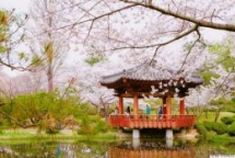 korea planning relaxed visa rules for asean members