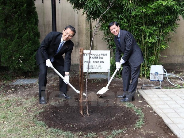ibaraki province presents cherry tree to vietnamese embassy in japan