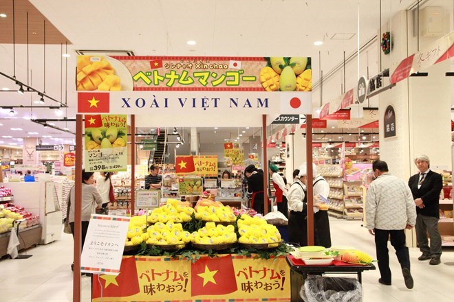 first cat chu mangoes on sales in japan