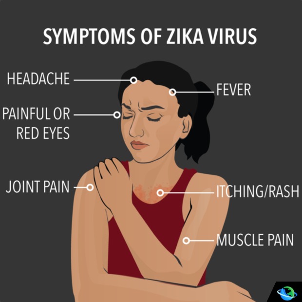 HCM City steps up screening for Zika virus