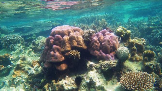 two asean heritage parks declared in indonesia