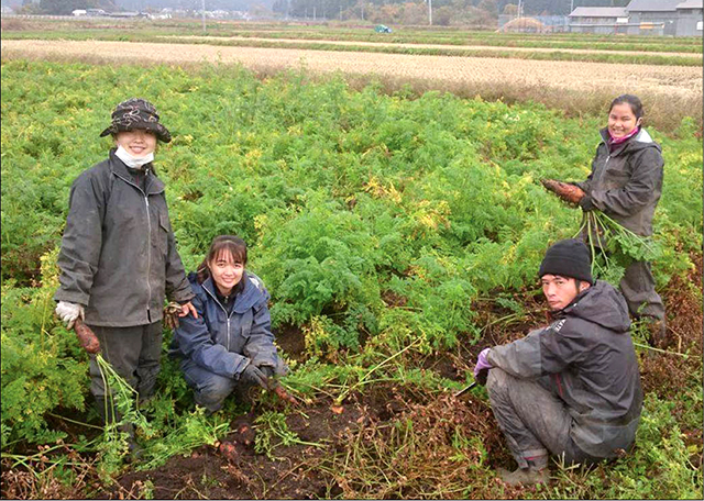 students in hue join internship programme in japan israel